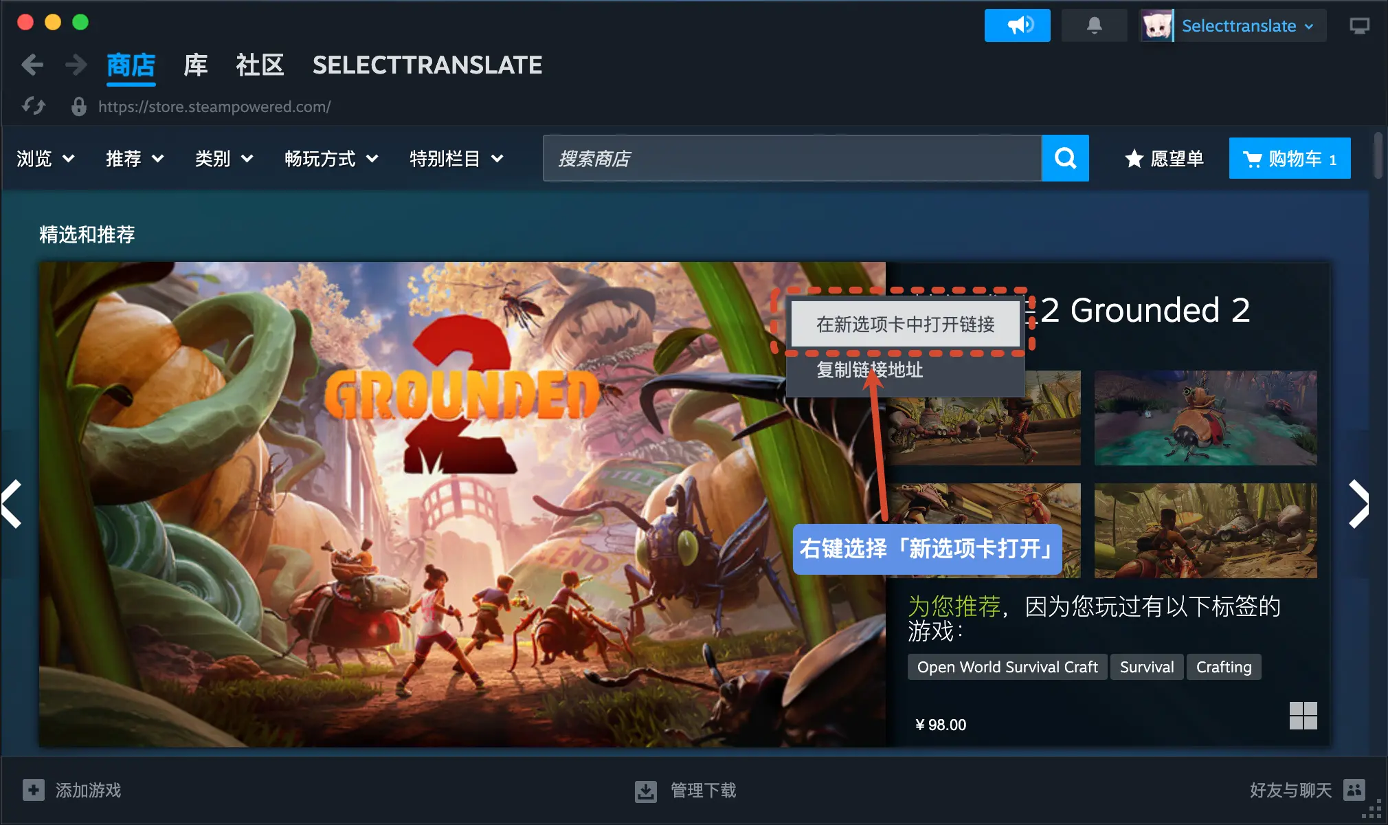 二、在 Steam 中用 crx 文件安装精挑翻译（图文教程）